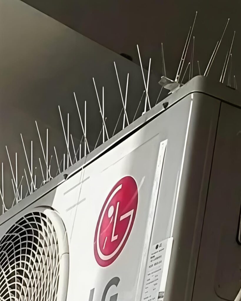 Anti Bird Net Installation in Delhi whatsapp image 2026 01 18 at 15.31.18